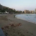 Apartamento La Casa De Mi Madre - 2 Bed Flat In The Heart Of